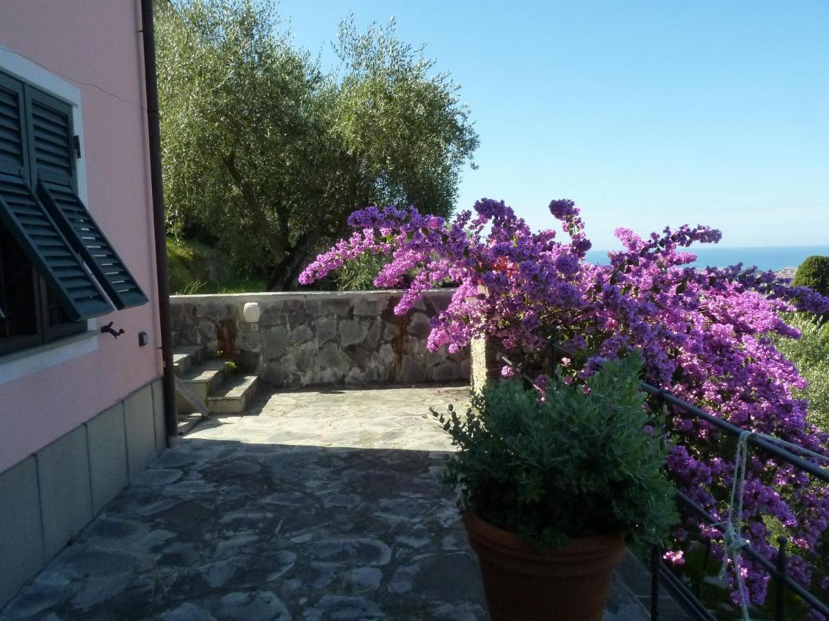 Bed and Breakfast La Gatta Sul Sentiero San Salvatore  Экстерьер фото