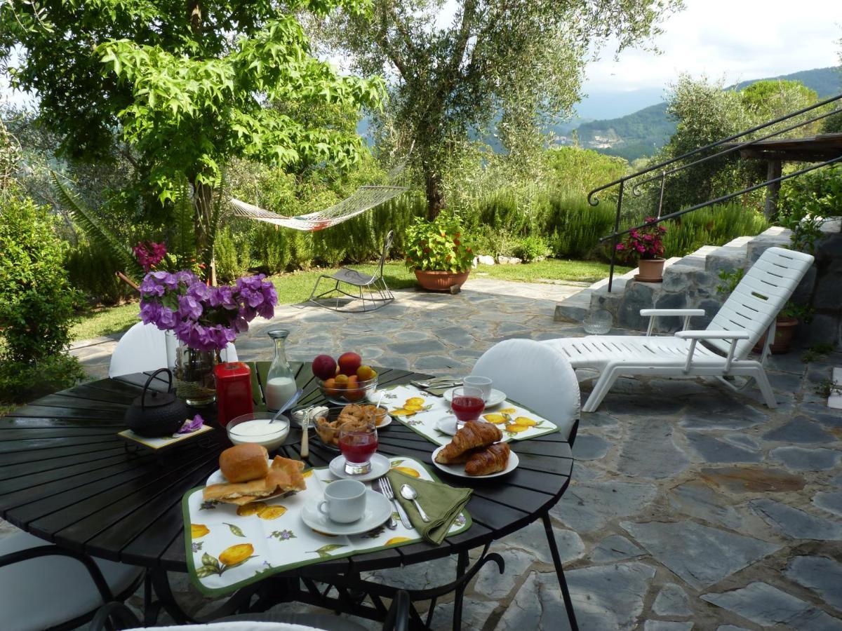 Bed and Breakfast La Gatta Sul Sentiero San Salvatore  Экстерьер фото